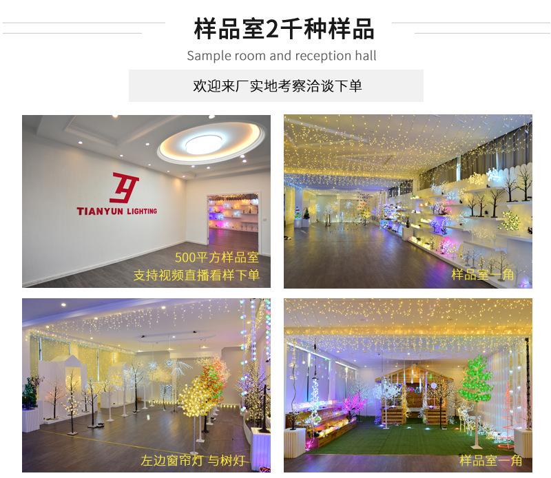 天运灯饰生产圣诞灯装饰灯铜线铜丝灯太阳能灯串网灯窗帘灯冰条灯