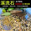 Substrato Especial para Fundo para Aquários Estilo Riacho com Peixes Pedra: Pedra Maifan para Aquário, Pedras Coloridas, Seixos Multicolores, Pedra Vulcânica Vermelha