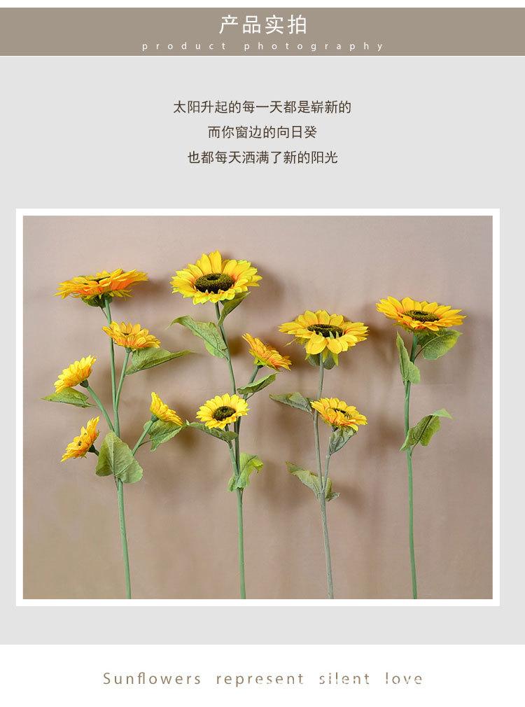 详情页_05.jpg