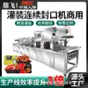 Máquina de Selagem Plástica Envasadora de Caixa de Tofu Dingfei Máquina de Selagem Contínua Totalmente Automática para Suco Geleia Fábrica Iogurte Verde