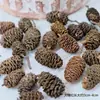 Decoración Navideña DIY Transfronteriza Árbol de Navidad de Agujas de Pino Atrezzo para Fotografía Suministros para Decoración Navideña de Piñas Venta al por Mayor