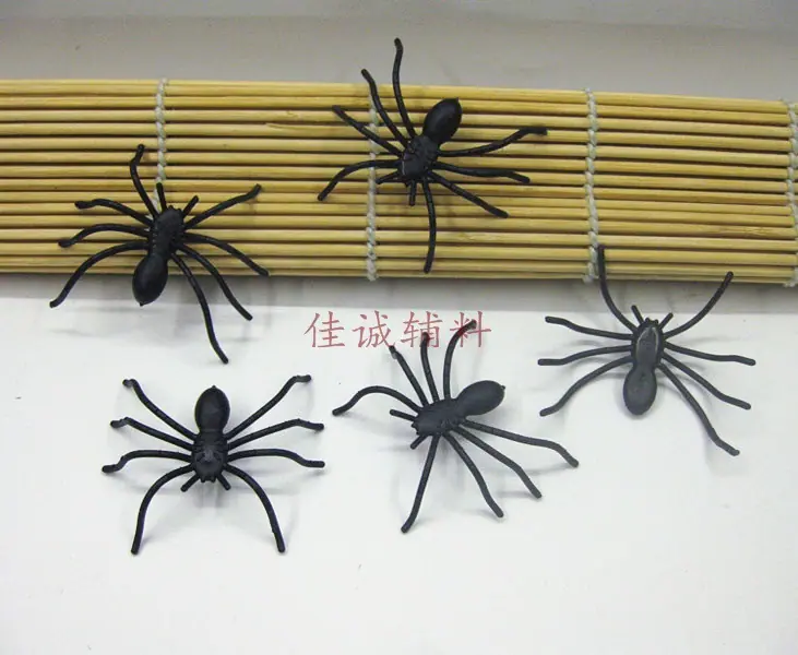 新长脚蜘蛛