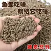 Alimento a granel para patos y peces, cebo para pesca en aguas salvajes, alimento para carpas y carpas crucianas, especializado para peces grandes en pozos negros, envío directo disponible
