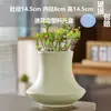 Maceta de Cerámica para Suculentas Florero para el Hogar Rábano Verde Blanco Lujo Ligero Creativo Estilo Crema Maceta para Suculentas Tamaño Grande