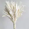 Ramo de Flores Secas, Hierba de la Pampa Más Vendida de Amazon, Juncia, Gypsophila, Flores Secas Serie Rosa, Regalo para el Día de San Valentín Chino y Navidad