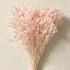 Flor Eterna Grama de Cristal Fabricante Atacado Transfronteiriço DIY Cúpula de Vidro Casamento Materiais Florais Festival Qixi Ins Flores Reais