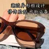2337 Primavera Temprana Nuevo Estilo Transfronterizo Unisex Modernos Geniales Gafas de Sol Gafas de Sol al por Mayor Marco de Té Transparente Lente Negro Gris Gafas de Sol