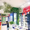 Hojas artificiales de baniano, manojos de hojas, ramas de árbol falsas, follaje para paisajismo, varios estilos de decoraciones de plantas verdes