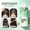 Champú Control de Grasa Voluminizador Flor Oriental Extracto de Planta Champú Esponjoso Fragancia Floral Refrescante Cabello Suave 1 kg/Botella