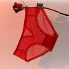 Ropa Interior Sexy para Mujer Estilo Pura Pasión con Cortes de Malla de Cintura Baja, Delgada, Semitransparente, Atractivos Bordes de Encaje, Bragas Sexy para Mujer