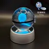 Adorno de Bola de Cristal de Elfo de Bolsillo 3D Pichu Bulbasaur Periférico de Pokemon Regalo de Cumpleaños
