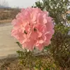 Hidrangea grande de una sola cabeza Comercio exterior Hidrangea grande de estilo coreano Hidrangea de simulación Hotel Boda Decoración suave Flores artificiales