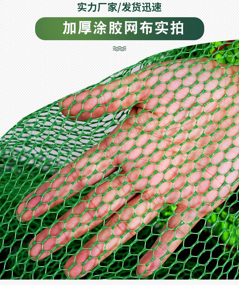 修改后_06.jpg