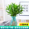 Plantas de Bambu Repelentes de Mosquitos, Bambu Hidropônico, Plantas Verdes Cultivadas em Água para Sala de Estar Interna, Vasos, Bambu Hidropônico Repelente de Mosquitos, Fácil de Manter o Ano Todo