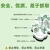 20 Peças de Adesivos Magnéticos Macios Verdes de Plantas para Geladeira Desenho Animado Frescos e Criativos Adesivos Magnéticos Decorativos de Metal para Carro Atacado Transfronteiriço