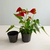 Maceta de moldeo por inyección maceta de jardinero pequeña simple maceta de moda control de raíces fondo hueco transpirable anti-pudrición maceta de plástico
