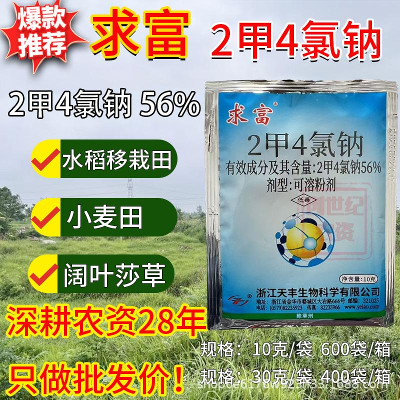 创世纪