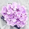 Serie de Boda Flores Artificiales 5 con Hoja Hortensia Flores de Seda Flores Falsas Boda Hotel Novia Sosteniendo Flores Arreglo Floral de Ventana