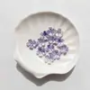 Nuevo Estilo Flor de Cerezo Estampada en Oro con Bordes Dorados y Plateados 15 mm Pétalos Perlados de Dos Tonos Materiales Hechos a Mano para Bricolaje Accesorios para el Cabello de Estilo Antiguo Ramo