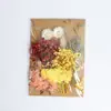Decoración artesanal DIY mixta, set de flores eternas y flores secas, material para marco de fotos DIY, material de flores, bolsa para repujado