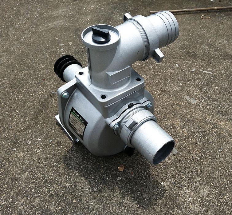 TB258N1tpXXXXbrXpXXXXXXXXXX_!!