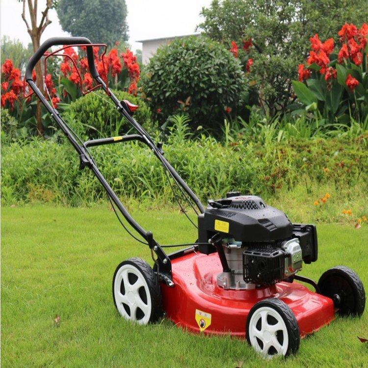 一键复制_20230724140820