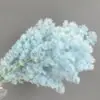 Flor eterna esponjosa pino de Navidad decoración del hogar con flores ramo de flores flotantes DIY con materiales fabricantes de Yunnan al por mayor