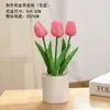 Plantas Verdes Simples Suculentas de Plástico em Vaso Ornamento para Sala de Estar Mesa de Jantar Flores Artificiais Decorações Ornamento Flores Biomórficas