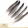 Penas Naturais de Faisão DIY Artesanal Penas Indígenas para Adorno de Headress Materiais Vara para Provocar Gatos Acessórios de Brinquedo Pegador de Sonhos