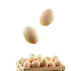 Huevos duros sin cáscara 35g tamaño grande, huevos duros listos para comer para el desayuno de los estudiantes, sustituto de comida nutritivo para el gimnasio