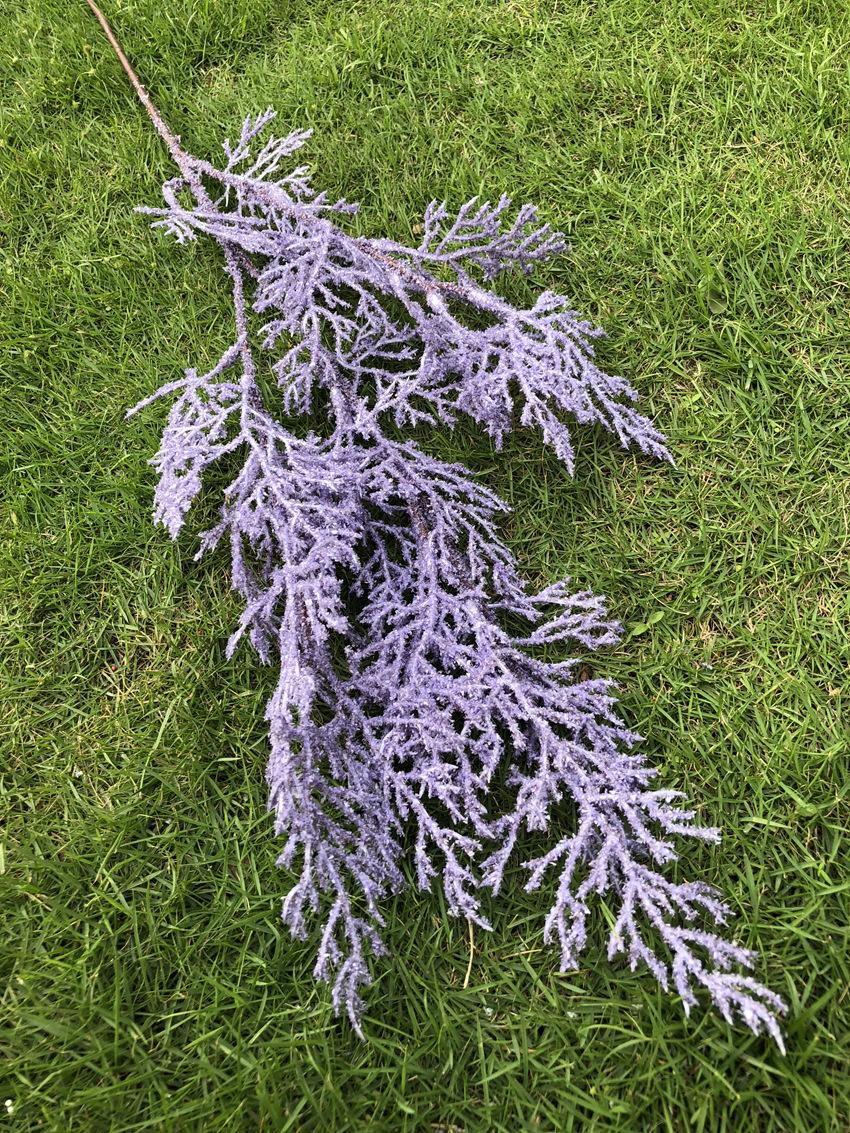 微信图片_20190411170813