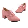 Talla Gruesa 2024 Zapatos Nuevos Zapatos de Cordones Puntiagudos Talla Terciopelo Escarchado Zapatos de Mujer Zapatos de Tacón Medio Primavera y Otoño Comercio Exterior Negro