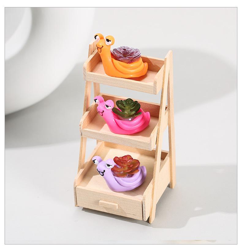 六色突眼蜗牛_09