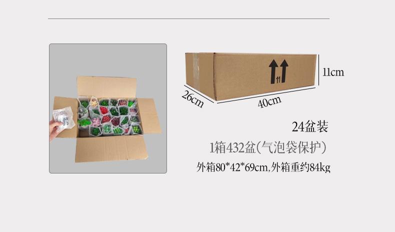 35号_32b.jpg