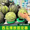 Soporte para fruta de anillo de sandía, soporte para melón, alfombrilla antideslizante, expositor de melón cantalupo y durián, anillo de plástico estilo antiguo