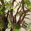 Árboles de Locusta Simulados, Árboles de Olmo, Árboles Banyan, Árboles Decorativos Grandes para Interiores y Exteriores, Árboles Artificiales, Plantas Verdes Simuladas, Adornos Simples de Paisajismo