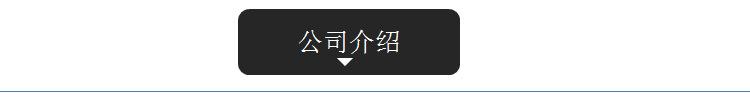 公司介绍