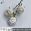 Rosa Sem Folhas, Rosa Princesa, Arranjo de Flores para Paisagismo de Casamento, Flor de Seda, Decoração de Parede de Flores para Salão de Banquetes de Hotel, Flor Artificial