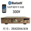 Amplificador Sunbuck para Karaoke con Transformador de Alta Potencia, Ranura para Tarjeta, Control Remoto, Azul
