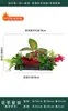 Flores Artificiais Plantas Verdes Conjunto de Divisória Decorativa Flores de Plástico e Seda Decoração de Paisagismo Arranjo de Paisagem Exibição de Janela Interna