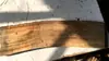 Tábua Grande de Madeira de Cânfora, Tábua Larga e Grossa, Tábua de Madeira de Cânfora, Tábua Única de Madeira de Cânfora, Material Antigo, Material para Bandeja de Chá, Material Largo e Grosso