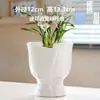 Maceta de Cerámica con Plato para Uso en el Hogar, Exquisita Estilo Ins Blanco Lujo Ligero Minimalista Estilo Crema Maceta para Orquídeas Suculentas