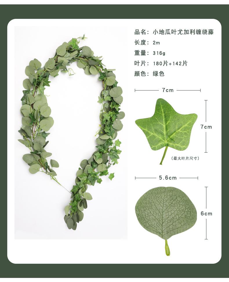尤加利藤条集合-兰桂坊_08