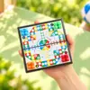 Mini Juego de Go Magnético para Niños y Estudiantes de Primaria, con Piezas Magnéticas, Tablero de Damas Dos en Uno