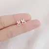 Brincos de Prata Esterlina 925 Novo Estilo Primavera Verão Pequenos Celebridade da Internet Douyin Venda Quente Brinco Simples Moderno Estudante Feminina Noite