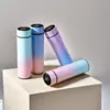 Taza Inteligente de Gran Capacidad con Pantalla de Temperatura para el Hogar, Termo de Acero Inoxidable 304 con Gradiente, Taza Recta Portátil para Exteriores