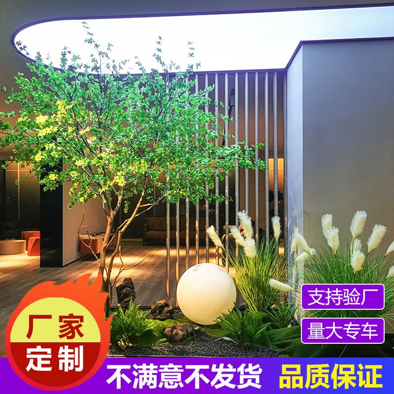 吊钟树主图