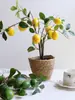 Ramas frutales de limonero, plantas en maceta con fruta fresca, flores artificiales para sala de estar, mueble de TV, mesa de comedor, adornos decorativos