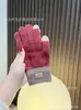 Guantes de Punto de Alpaca Transfronterizos para Pantalla Táctil para Mujer de Dedos Completos Calientes Engrosados con Forro Polar para Pareja Estilo Coreano Guantes de Invierno para Ciclismo