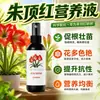 Solución nutritiva de Amarilis fertilizante para flores fertilizante especial para Amarilis solución nutritiva para bulbos promoviendo bulbos de floración bulbos de raíz tubérculos fertilizante fertilizante líquido